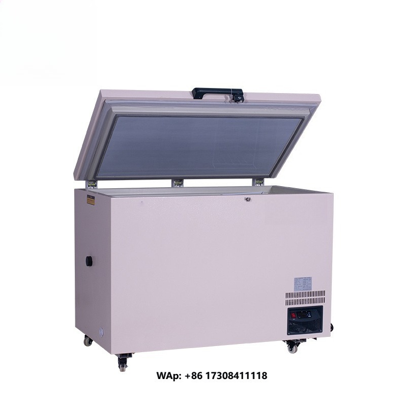 268L -60 ℃   Congelatore a poz - Commercial Chest Freezer recensione e prezzo
