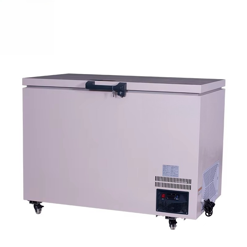 268L -60 ℃   Congelatore a poz - Commercial Chest Freezer recensione e prezzo