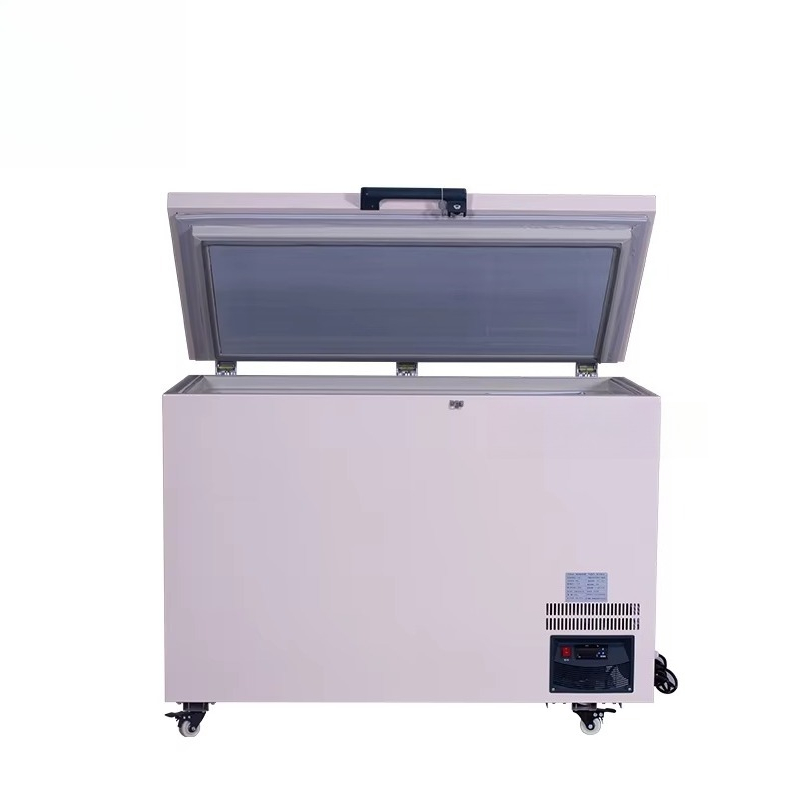 268L -60 ℃   Congelatore a poz - Commercial Chest Freezer recensione e prezzo